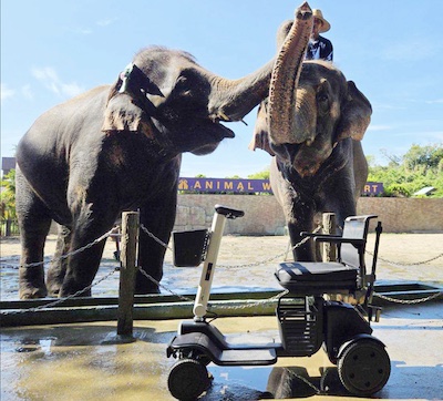 Shimizu Mountain Stream Square
